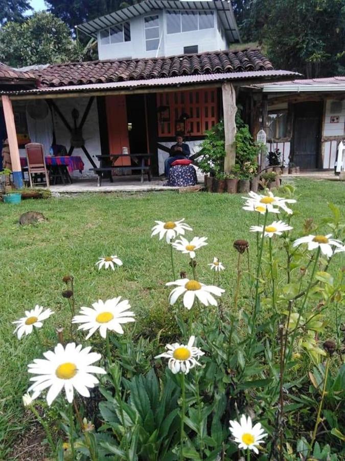 Tarragona Hostal Санта-Роса-де-Кабаль Экстерьер фото